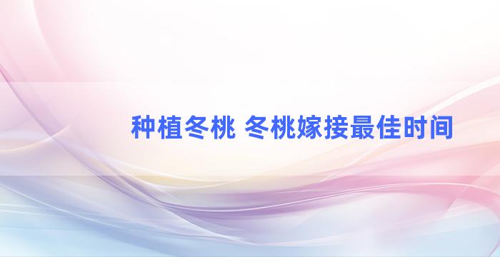 种植冬桃 冬桃嫁接最佳时间